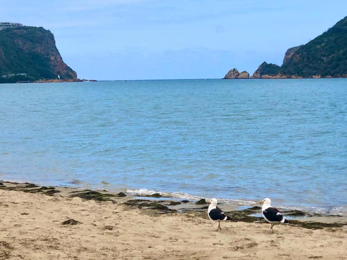 Seacrest Villa Knysna Dış mekan fotoğraf